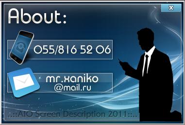 AIO Screen Description 2011