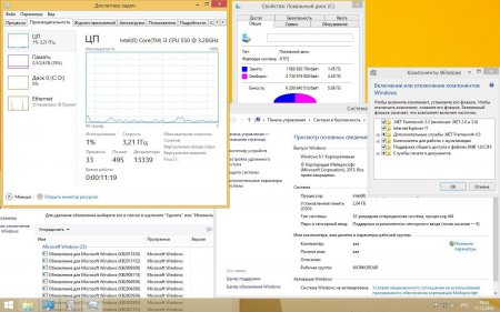 Microsoft Windows 8.1 Enterprise 6.3.9600 x86-С…64 RU XII-XIII Core by Lopatkin (2013) Р СѓСЃСЃРєРёР№