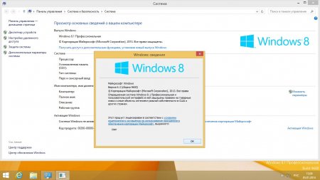 Windows 8.1 Professional Update (С…86) (2014) [Ru]