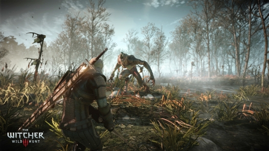 The Witcher 3 Wild Hunt (2015) SteamRip/Repack