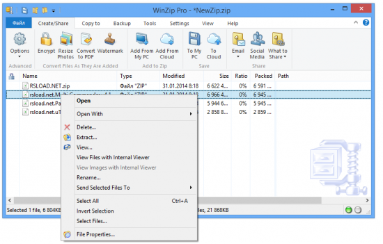 WinZip v19.5 Build 11532 Final + x64 + RePack